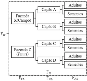 Figura 1 – Modelo dos níveis hierárquicos com os componentes da estatística F  utilizado para análise de populações de Araucaria angustifolia em paisagem de  campo e plantios de Pinus