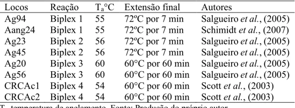 Tabela 4 – Locos microssatélites otimizados em reações biplex para análise e  caracterização genética em Araucaria angustifolia