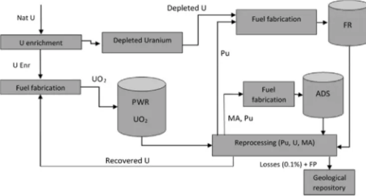 Fig. 7. “Double strata” cycle: LWR with MOX recycling and fast reactor with dedicated MA burner scenario.