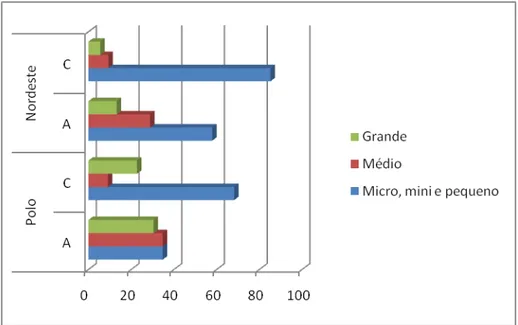 GRÁFICO  1  -  Comparativo  entre  as  categoria  dos  produtores  da  região  Nordeste com o Pólo Petrolina-Juazeiro enquadrados nos grupos A e C  