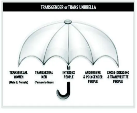 Figura  2:  Guarda-chuva  transgênero  ou  guarda-chuva  trans  (tradução  do  autor)