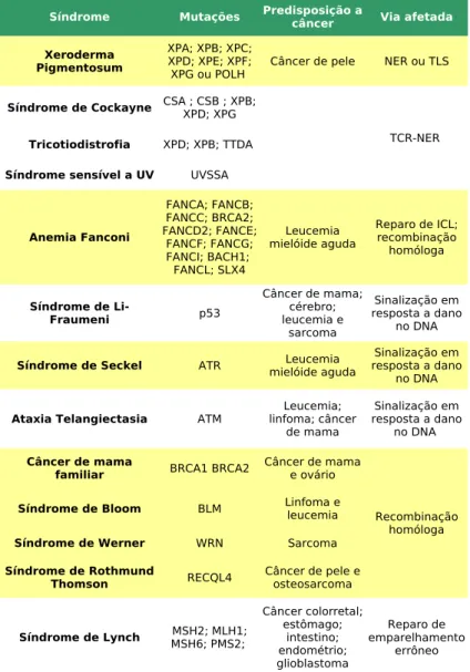 Tabela 1. Resumo das principais síndromes causadas por mutações em vias de resposta ao dano no DNA e sua predisposição à tumori- tumori-gênese