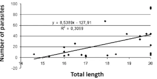 Figure 3. Correlation be- be-tween the host’s total  leng-th and leng-the number of E