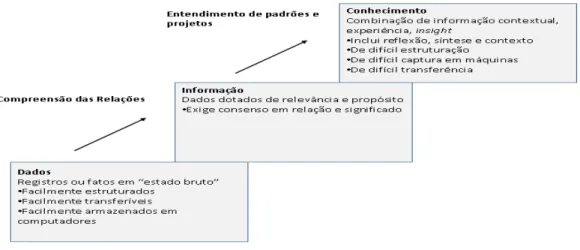 Figura 04: Os “níveis hierárquicos” da informação 