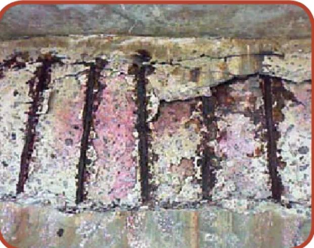 Figura 4- Corrosão com perda de seção das  armaduras de viga com indicação da presença  de cloretos na estrutura (cor marrom,  após a  aspersão do nitrato de prata)