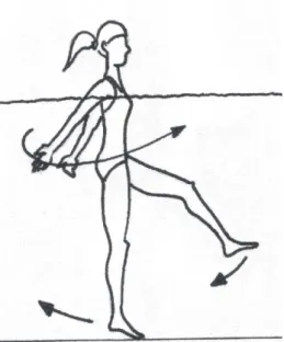 figura 1. Ilustração do exercício básico de Hidroginástica 