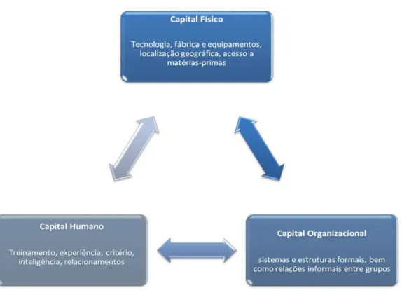 Figura 1  –  Relação entre os capitais físico, humano e organizacional. 