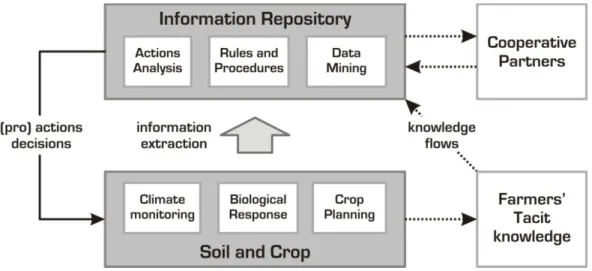 Fig 1. Cooperative generation of knowledge perspective