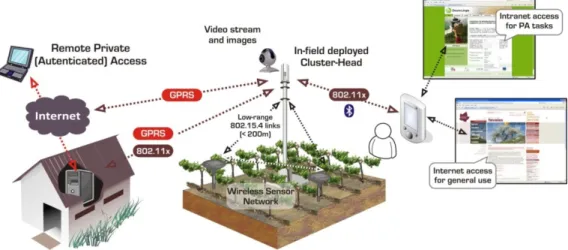 Fig 3. Accessing public and private data through in-field cluster-head, as a sink node for wireless  sensor network data and as a public service provider 