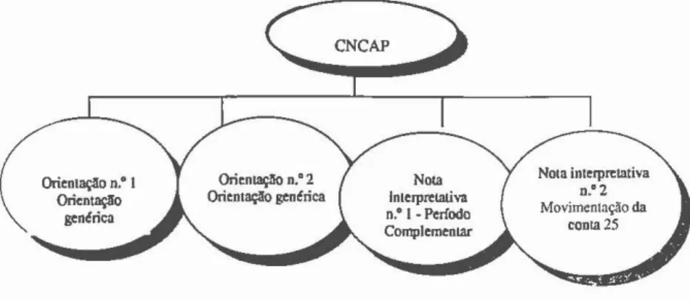 Figura 2.  Orientações e notas interpretativas emitidas pela CNCAP 