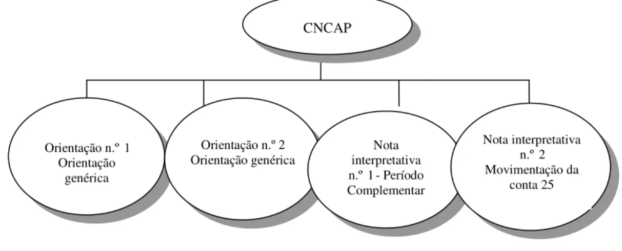 Figura 2. Orientações e notas interpretativas emitidas pela CNCAP 