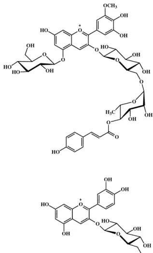 Fig. 1. Structures of petanin (top) and cyanidin 3-glucoside (bottom).