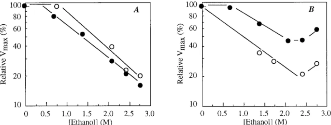 FIG. 5. Semilog plots of relative (%) maximum uptake rates of acetic acid by acetic acid-grown (A) or glucose-grown (B) cells of Z
