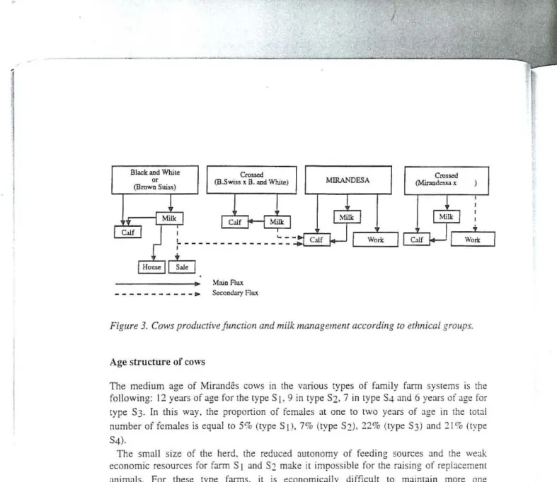 Figure 3.  Cows productive function and milk management according to  ethnical groups