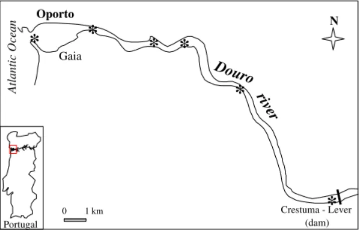 Fig. 1. Map ofDouro estuary and ofsampling stations.
