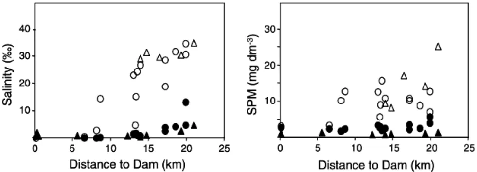 Fig. 3. Particulate organic carbon (POC in %) in the Douro estuary in September 1997 (circles) and April 1999 (triangles); surface waters represented by full symbols ( d , m ) and bottom waters by open symbols ( s , n ).