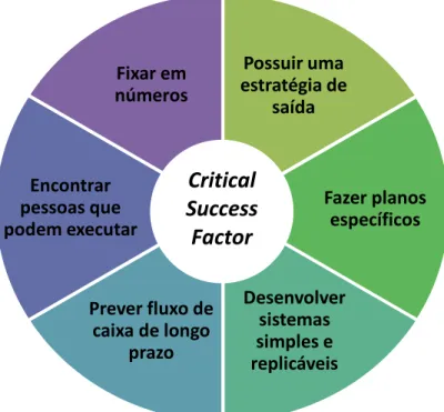 Figura 1 - The 6 Sucess Factors 