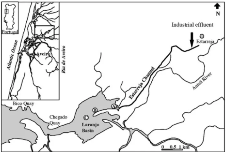 Fig. 1. Sampling Stations in the Laranjo Basin in Ria de Aveiro.