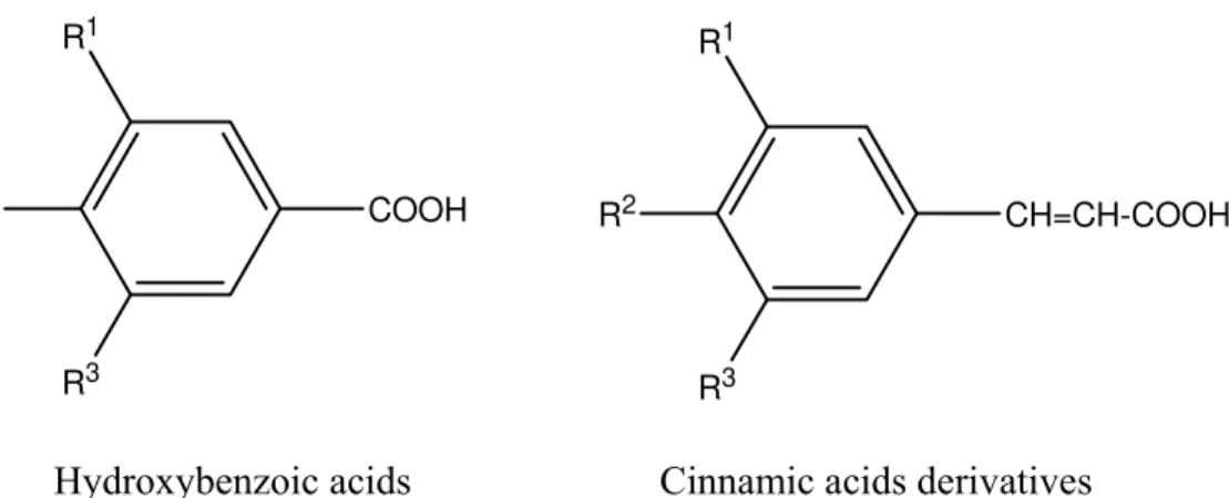 Figure 1: Chemical structure of the identified phenolic acids in the wild mushroom 