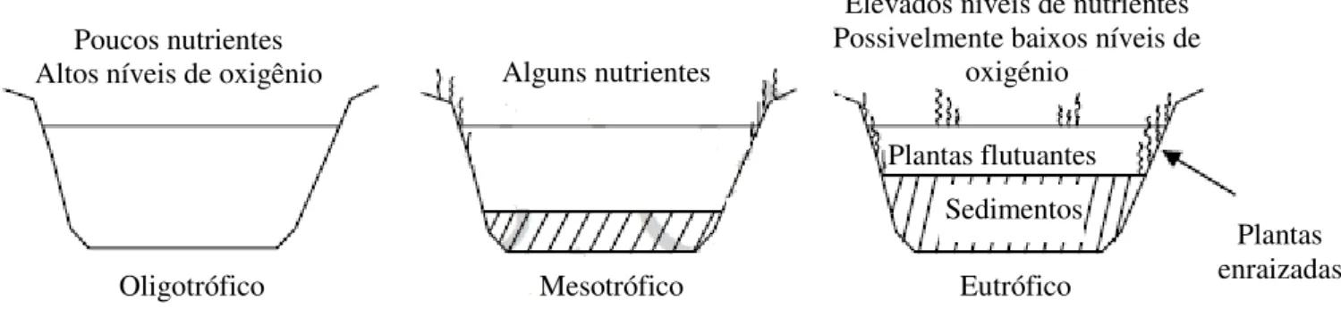 Figura 2.1: Processo de eutrofização - progressão de oligotrófico para eutrófico. (Adaptado de Shaw et al,  2003) 