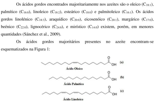 Figura 1. Estrutura dos ácidos gordos encontrados em maiores quantidades no azeite: (a), ácido  oleico com uma dupla ligação em sua estrutura, representando o ácido gordo majoritário
