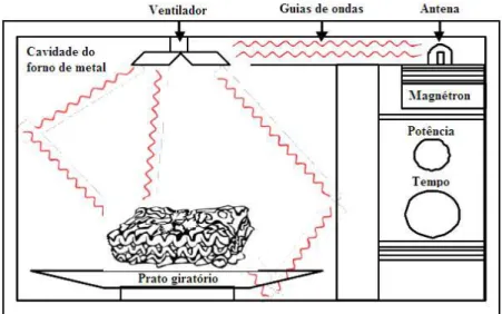 Figura  6. Esquema simplificado do caminho da radiação no  micro-ondas e da absorção pelos  alimentos em um forno micro-ondas doméstico