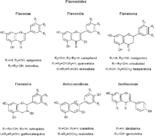 Figura 4. Estruturas das principais classes de flavonóides [22]. 