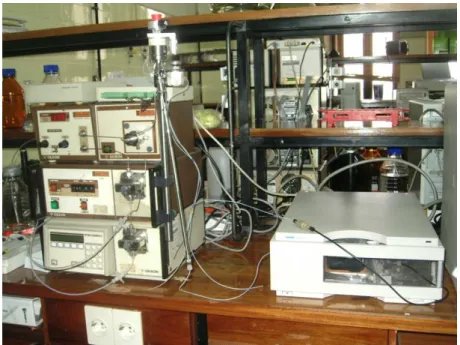 Figura 9. Sistema de HPLC-DAD utilizado no presente trabalho. 