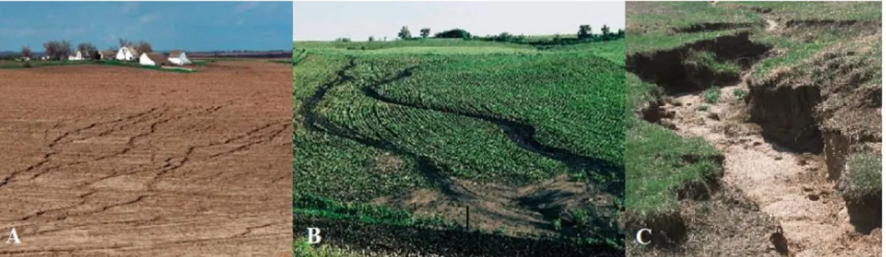 Figura 3 - Erosão laminar (A). Erosão em sulco (B). Erosão em voçoroca ou ravina (C) Fonte: Adaptado de Osman (2014)