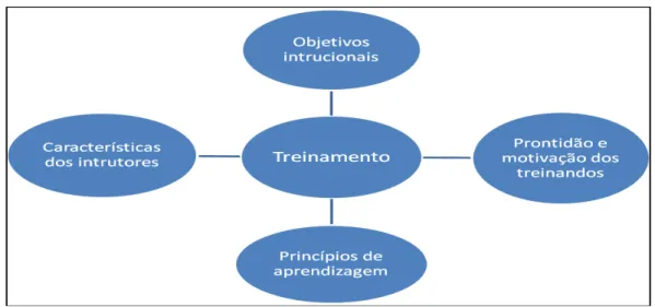 Figura 5  –  Foco do treinamento 