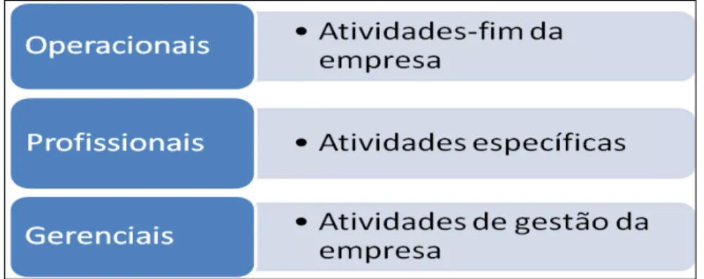 Figura 7  –  Tipos de carreira 