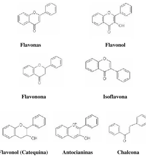 Figura 6. Estruturas químicas das principais classes dos flavonóides (Carpes, 2008). 