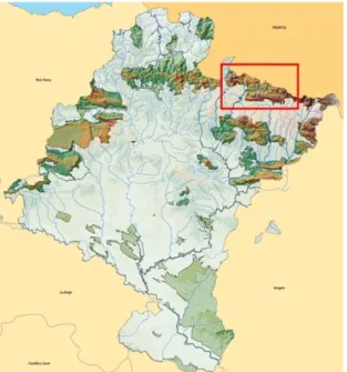 Figura 1: Ubicación de la Selva de Irati en Navarra (Gobierno de Navarra) 