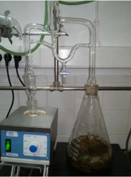 Figura 16 - Destilação-extração Likens-Nickerson de Thymus zygis L. subsp.. zygis. 