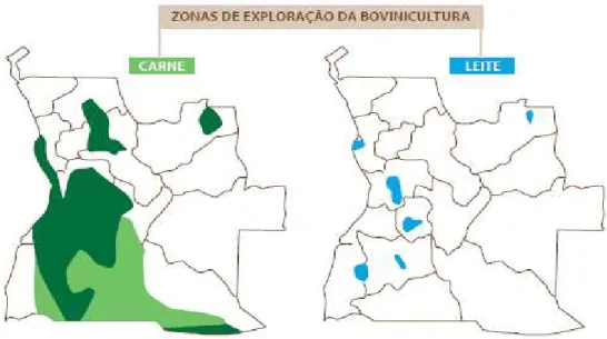Figura 6.  Zonas de implantação da exploração da bovinicultura de carne e leite  em Angola (Dias  et al,  2012)
