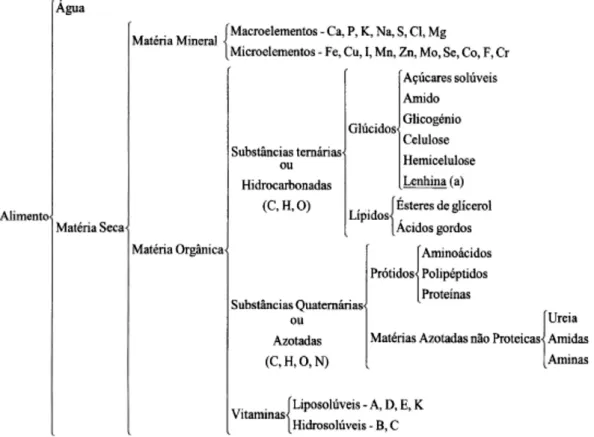 Figura 12.  Esquema  representativo  das  diversas  frações  e  constituintes  dos  alimentos