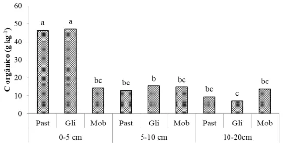 Figura 8. pH (H 2 O) debaixo da copa em função dos sistemas de gestão do solo e da profundidade  de amostragem