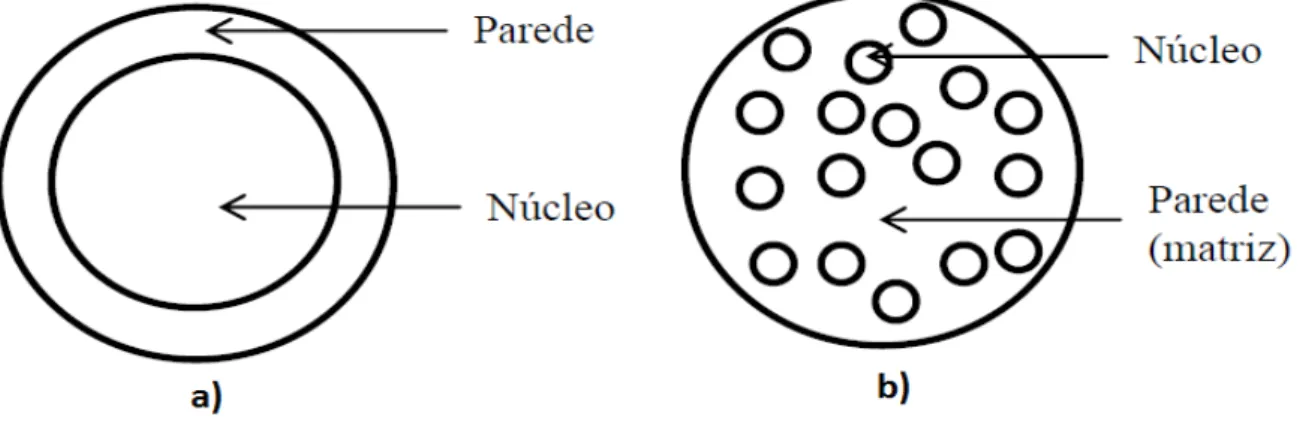 Figura  2.  Principais  estruturas  que  são  formadas  na  microencapsulação.  a)  Estrutura  de  uma  microcápsula;  b)  estrutura  de  uma  microesfera