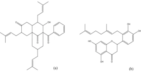 Figura 4 - Estruturas básicas dos compostos fenólicos mais comuns encontrados na própolis