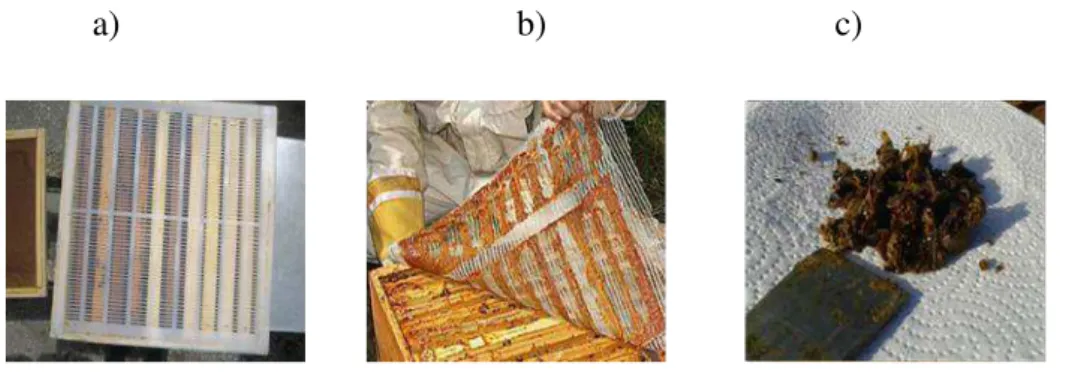 Figura 7  –  Colheita de própolis com redes plásticas colocada no topo da colmeia (a, b)