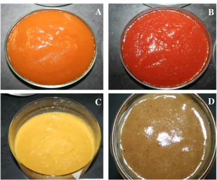 Figura 8 - Doces preparados a partir de frutas tropicais de São Tomé e Príncipe: A -  Goiaba clara; B - Goiaba escura; C - Mamão; D  –  Banana