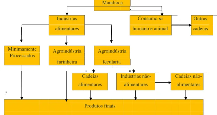 Figura 2.1 - Esquema do complexo agroindustrial da mandioca. 