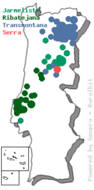 Figura 1. Distribuição geográfica do efetivo da cabra Serrana. Fonte:Ruralbit, 2008. 