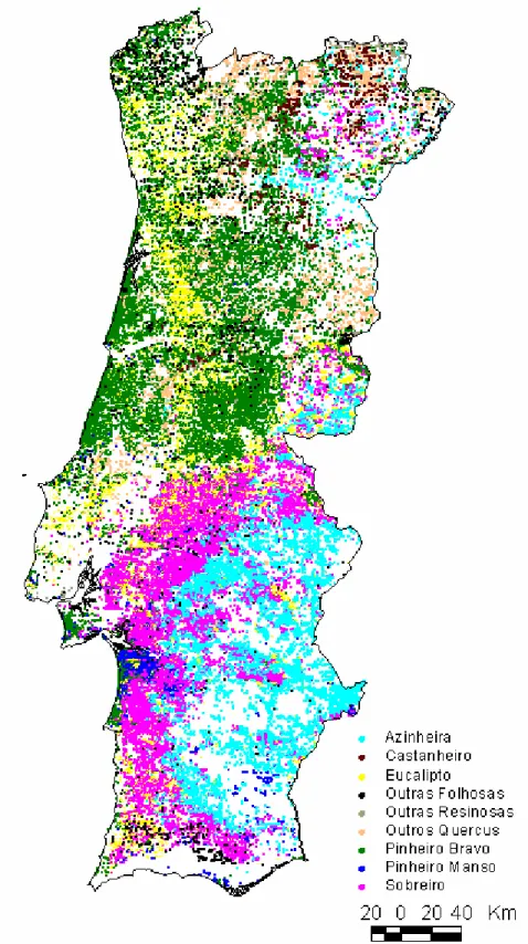 Figura 2.2: Mapa de distribuição do sobreiro em Portugal Fonte: IFN (2001).  