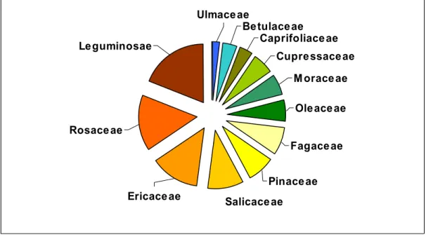 Figura 3 – Distribuição das espécies com interesse florestal considerando a família botânica.
