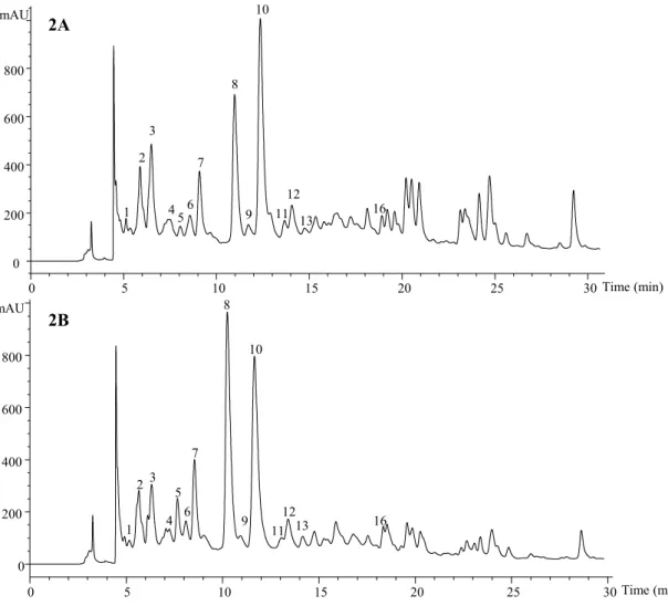 Figure  2.  HPLC  phenolic  profile  (flavan-3-ols)  of  cultivated  (A)  and  wild  (B)   Laurus  nobilis , obtained at 280 nm