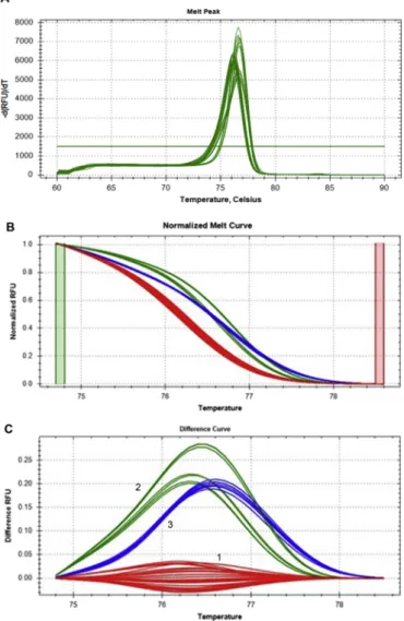 Fig. 1. Conventional melting curves (B), normalised melting curves (C) and difference curves (D) obtained by real-time PCR ampliﬁcation with EvaGreen dye and HRM analysis targeting the matK gene of Lavandula spp