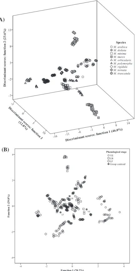 Fig. 2. Mean scores of different of Medicago species projected for the three first discriminant functions (A) and phenologic stages projected for the two first discriminant functions (B) defined from the isoflavone profiles.