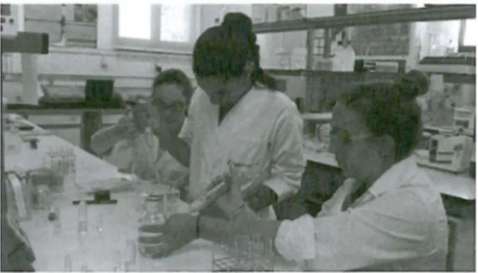 Fig .2.  Students performing  antioxidant activity assays. 