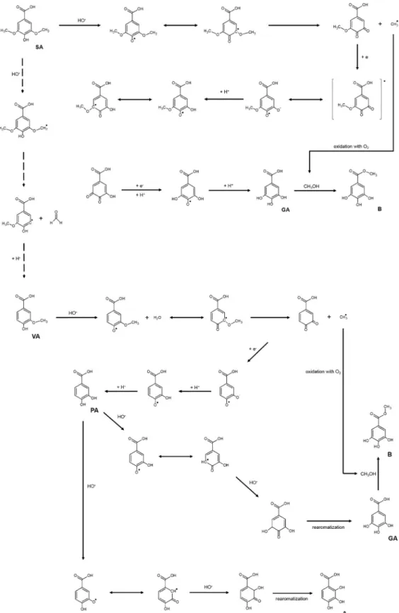 Fig. 10 represents the HPLC chromatogram of the quaternary mix- mix-ture solution irradiated at 20 kGy.